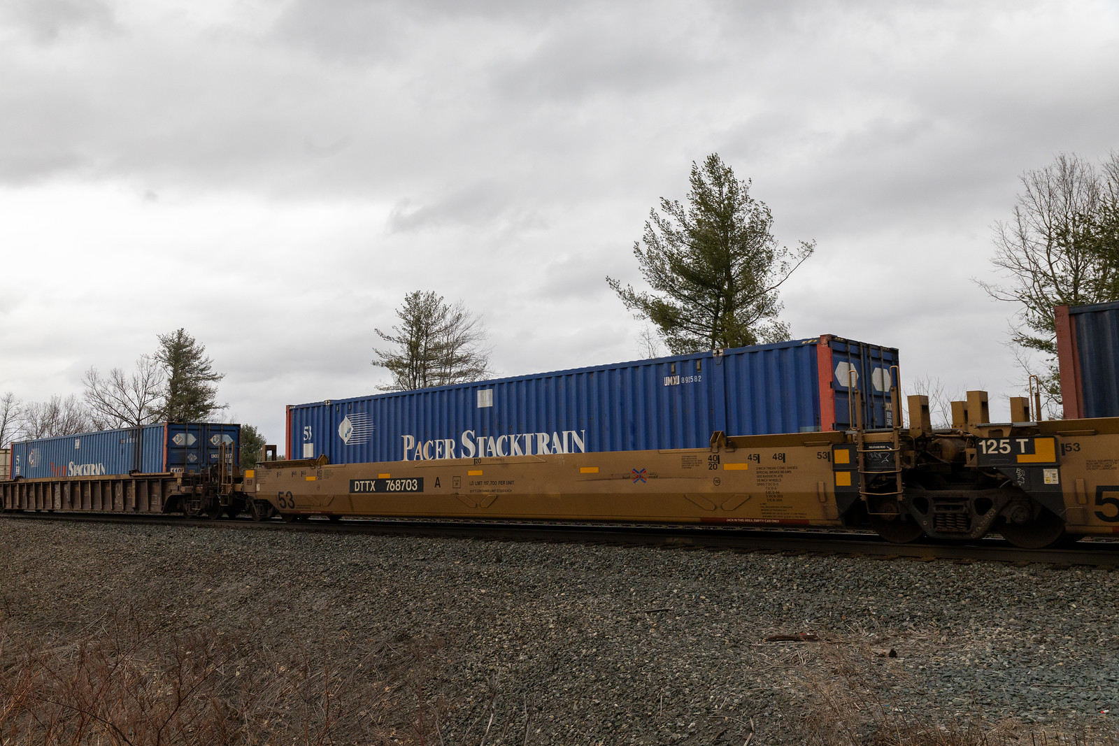 DTTX 768703A