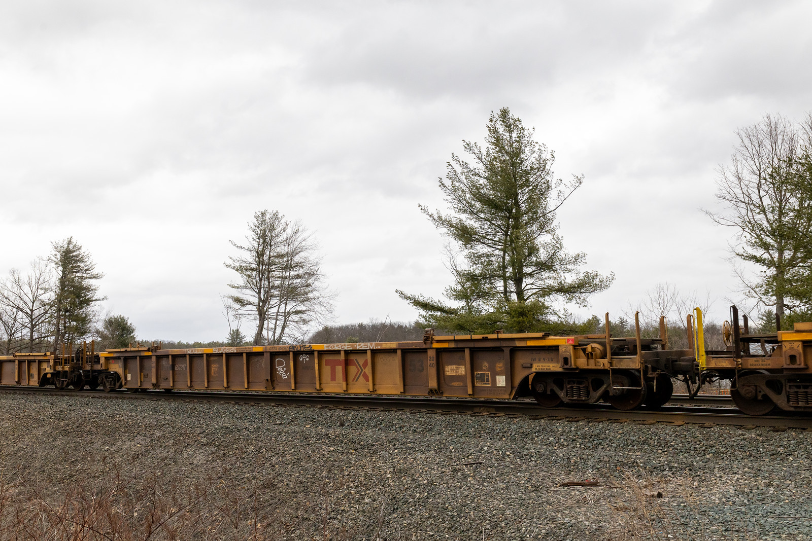 DTTX 657317