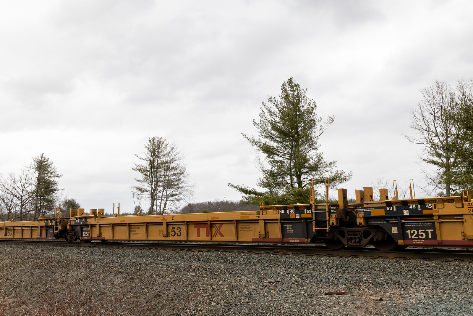DTTX 730533C