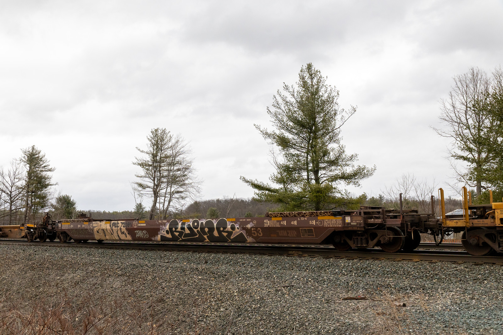 FEC 72081