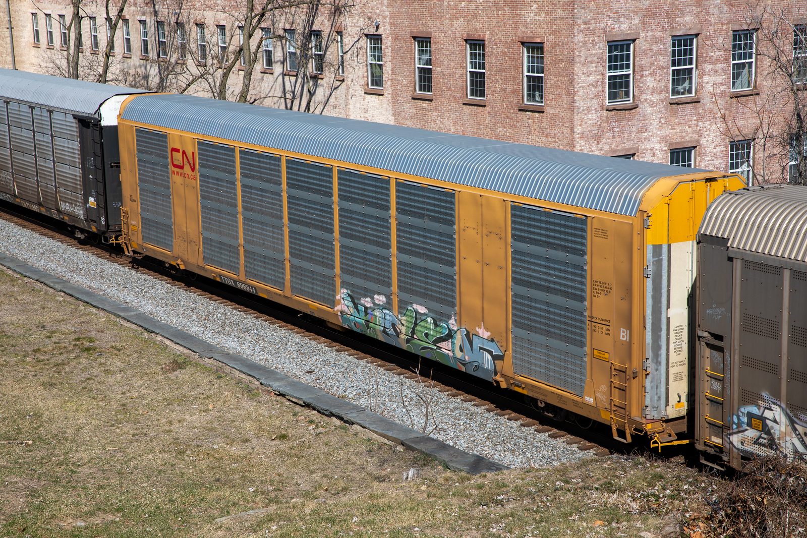 TTGX 696844