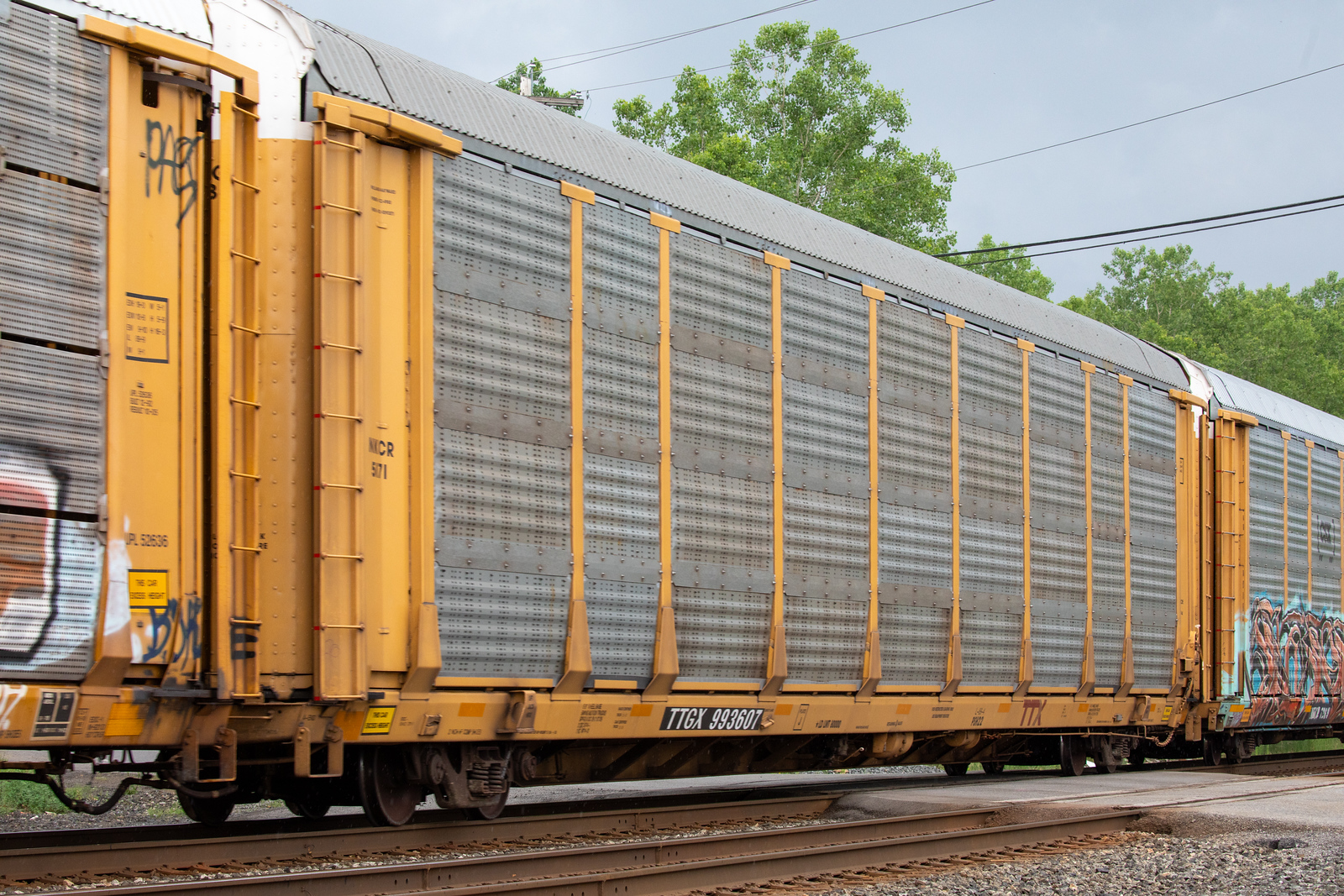 TTGX 993607