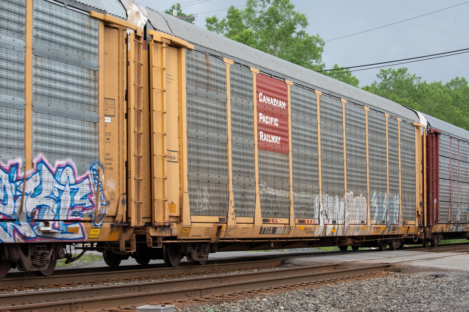TTGX 988880