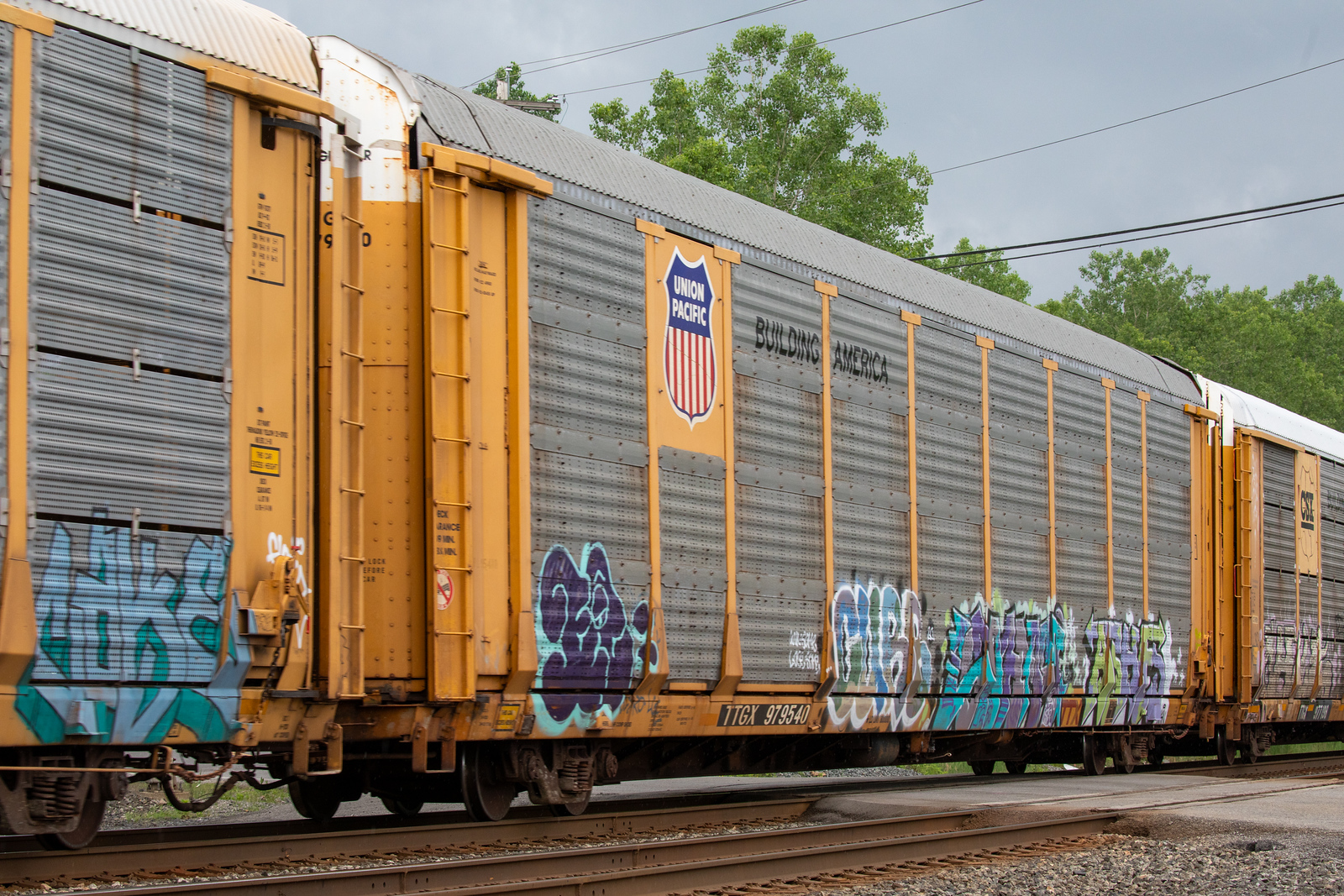TTGX 979540