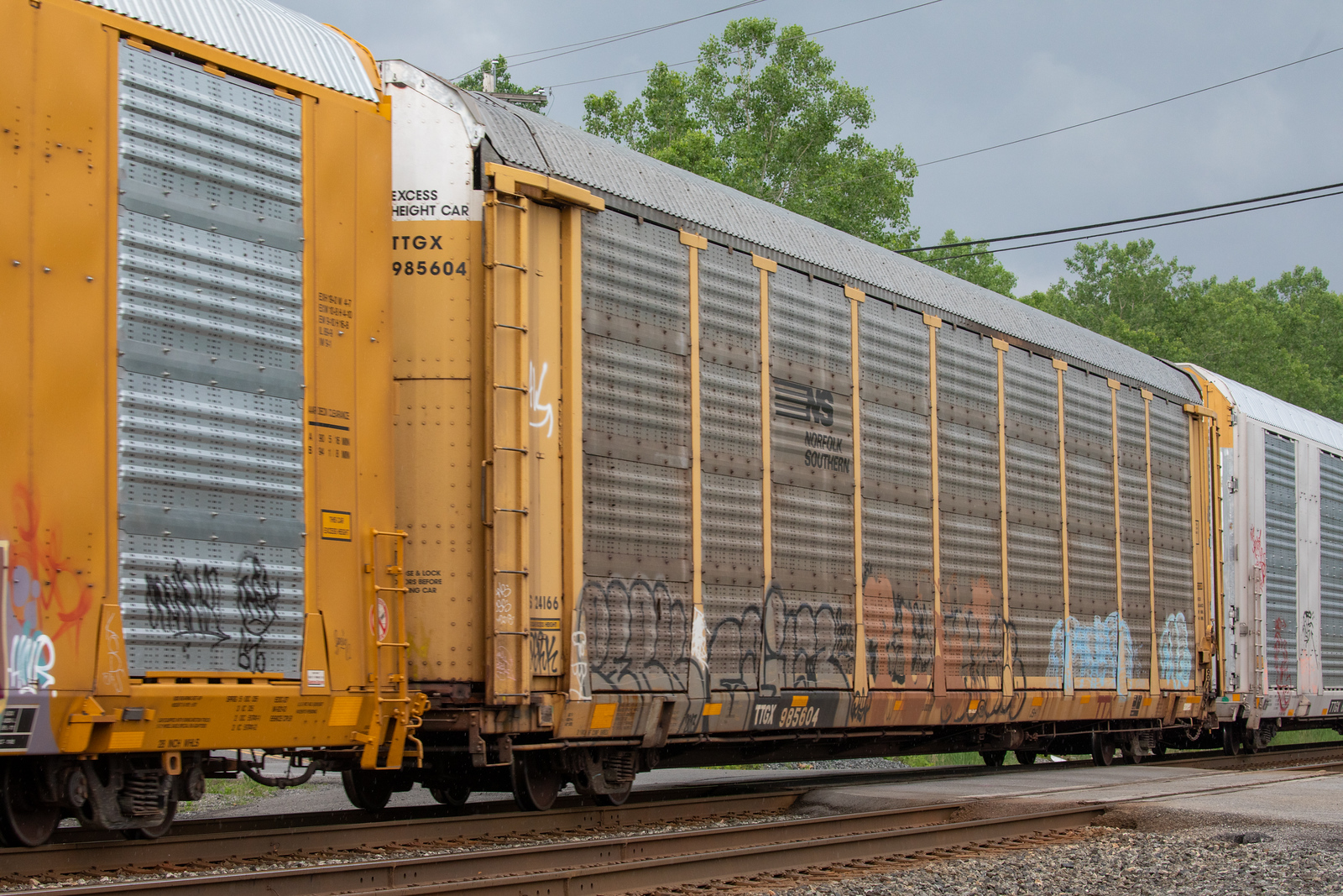 TTGX 985604