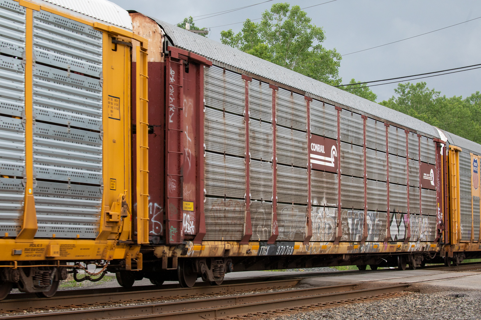 TTGX 970769
