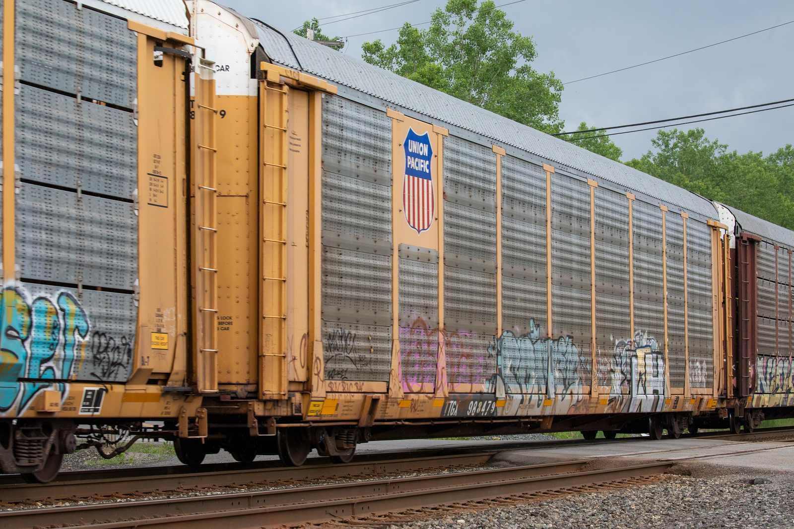 TTGX 988479