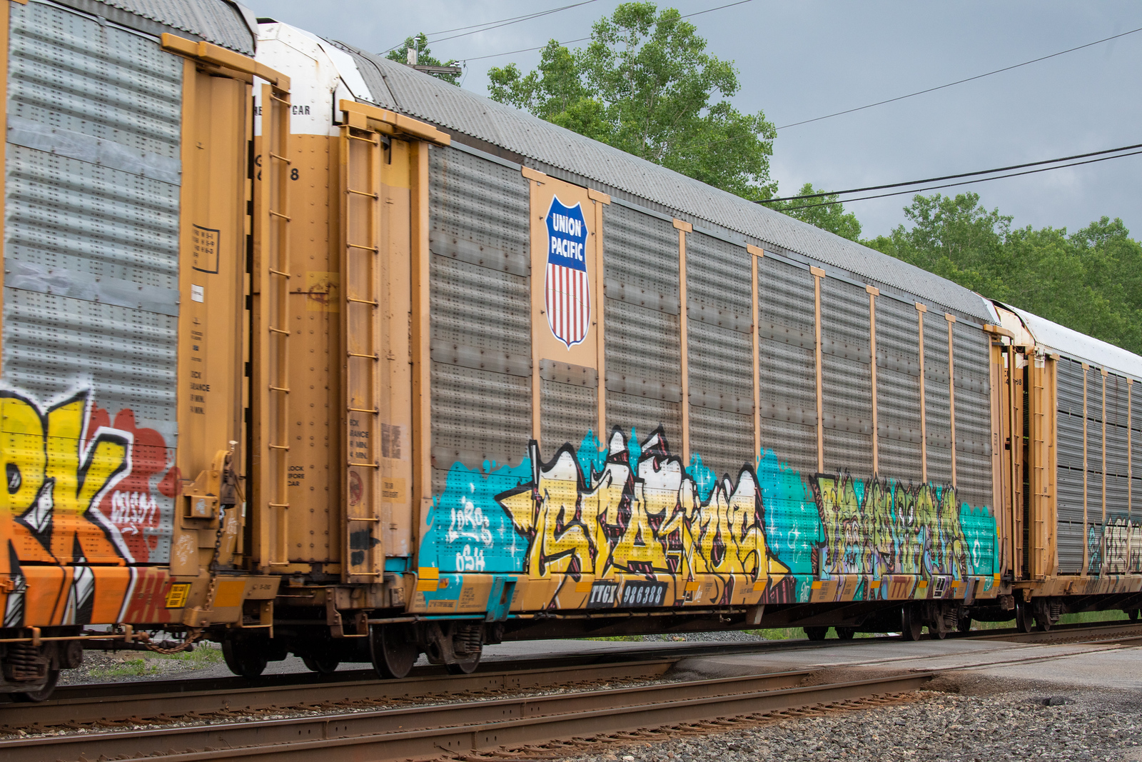 TTGX 986388