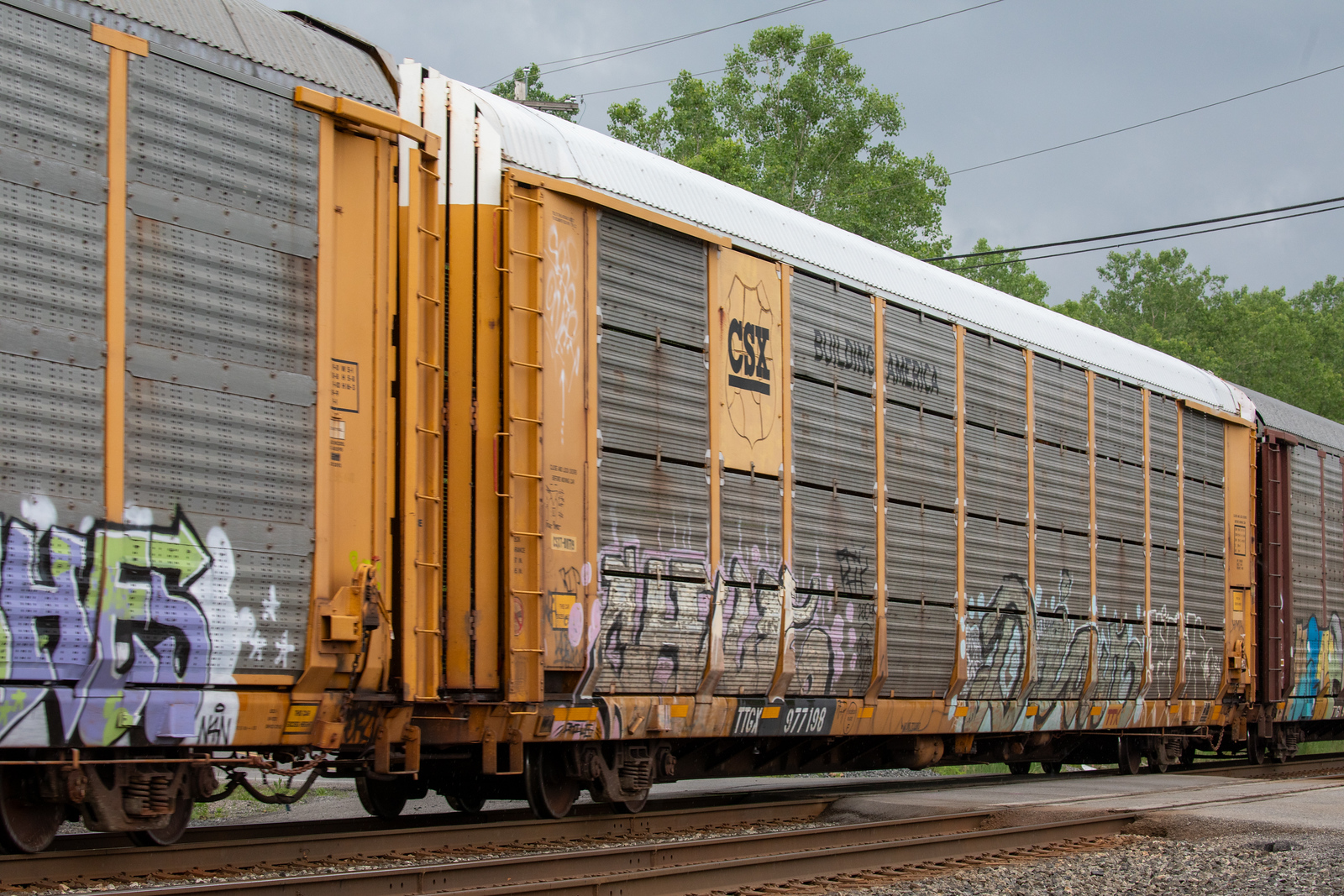 TTGX 977198