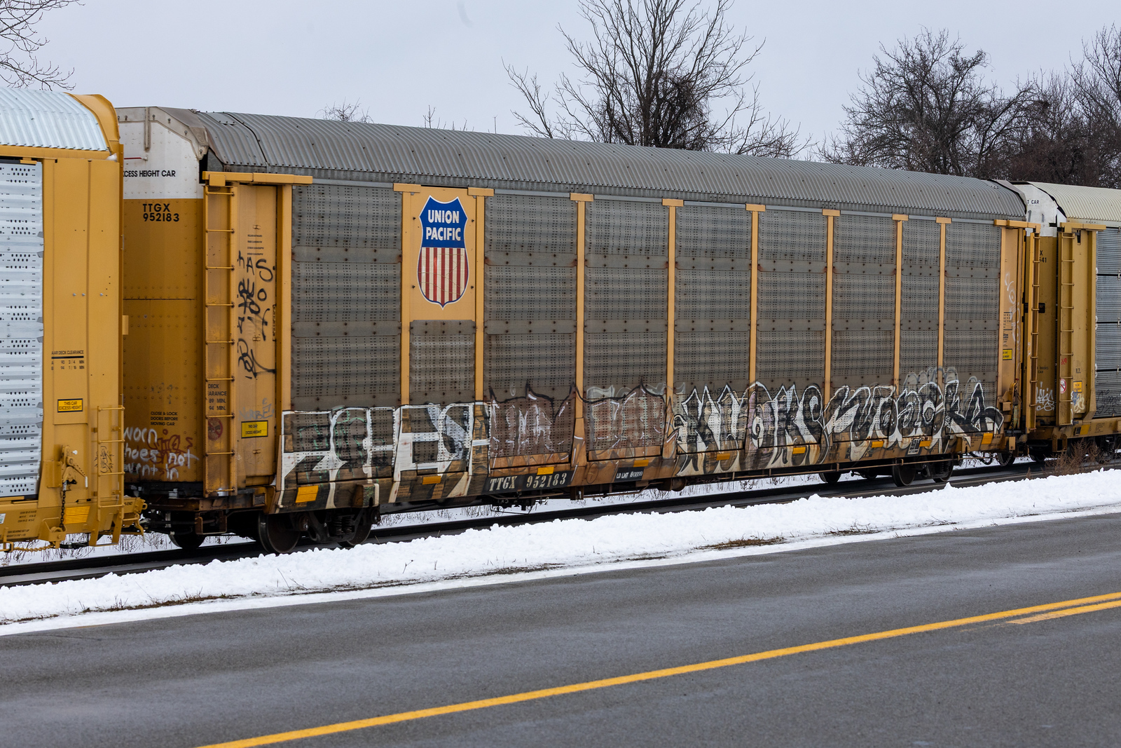 TTGX 952183