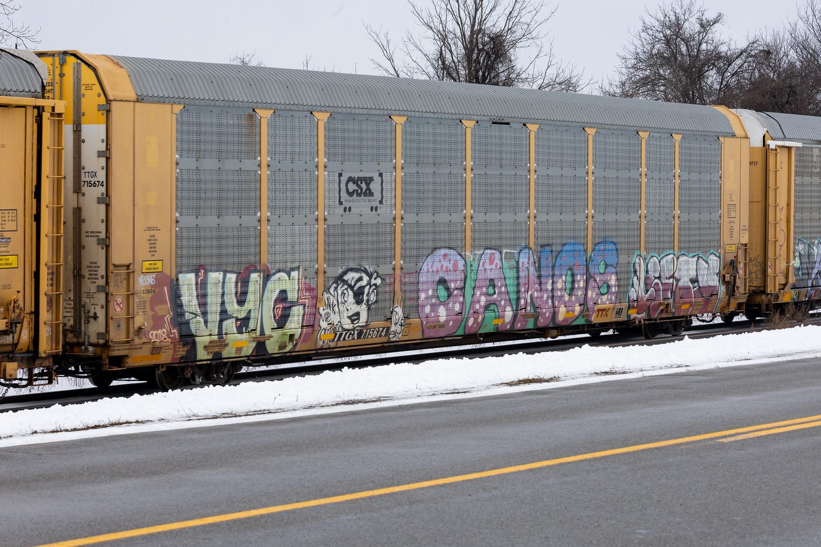 TTGX 715674