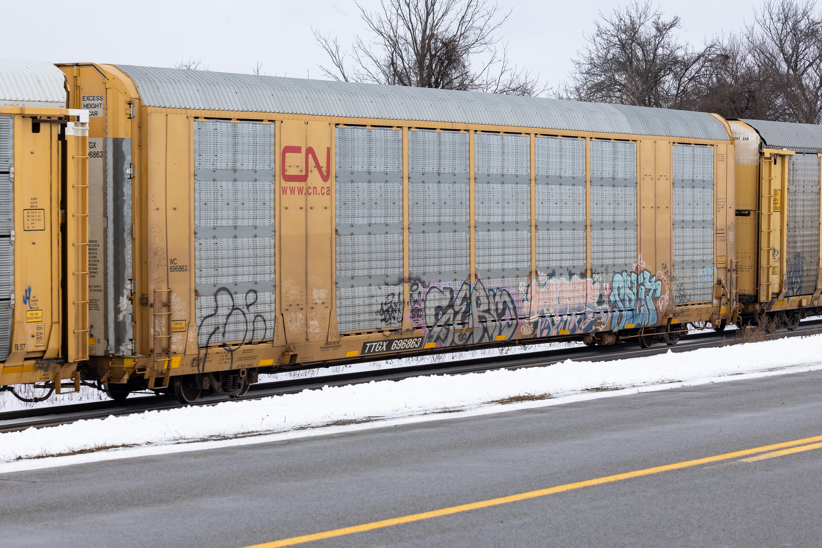 TTGX 696863
