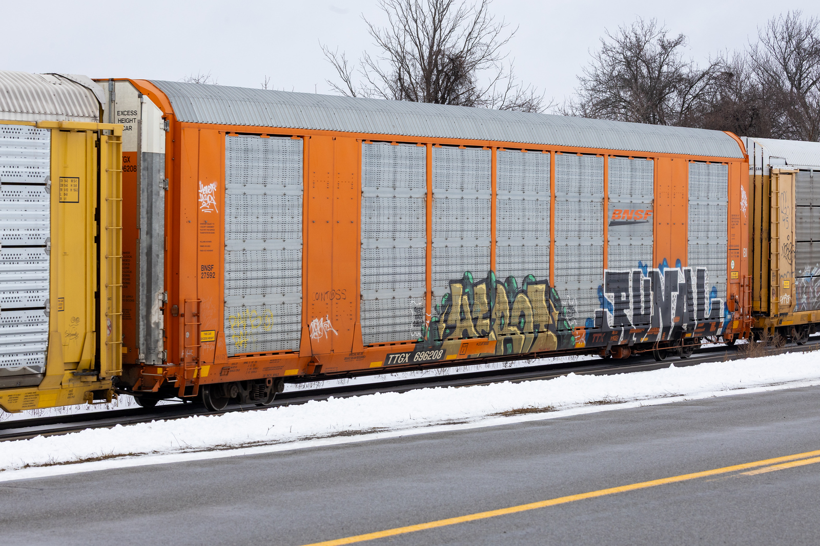 TTGX 696208