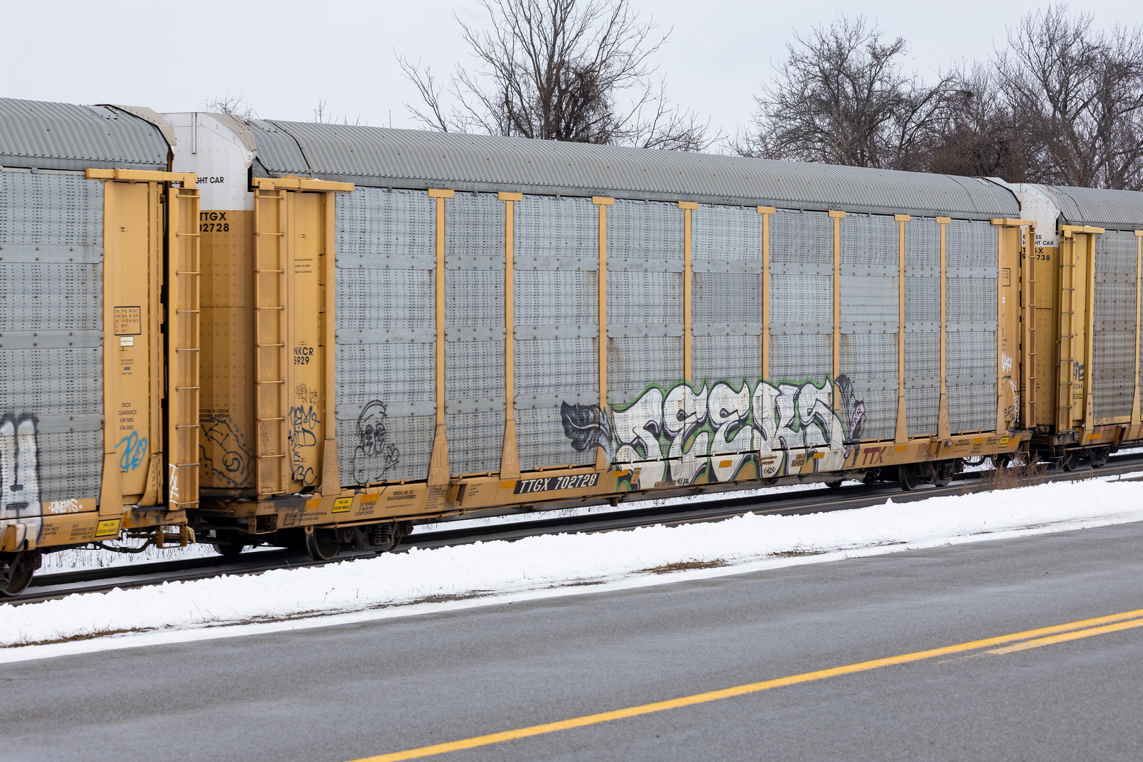 TTGX 702728