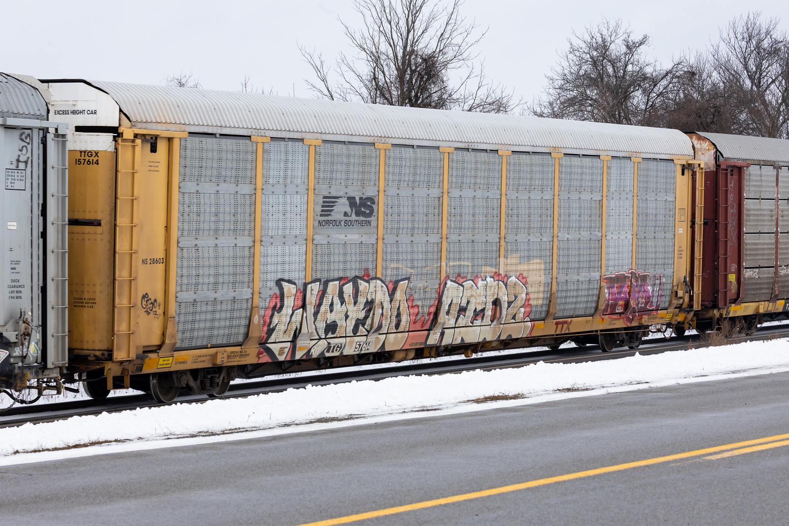 TTGX 157614