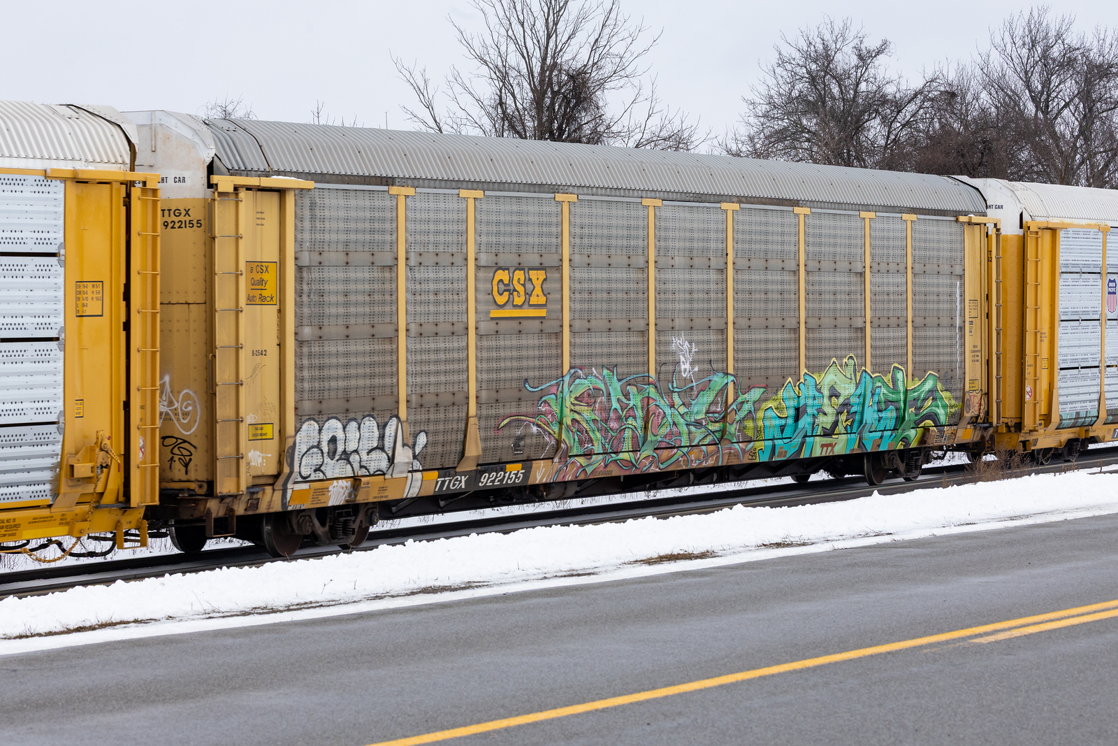 TTGX 922155