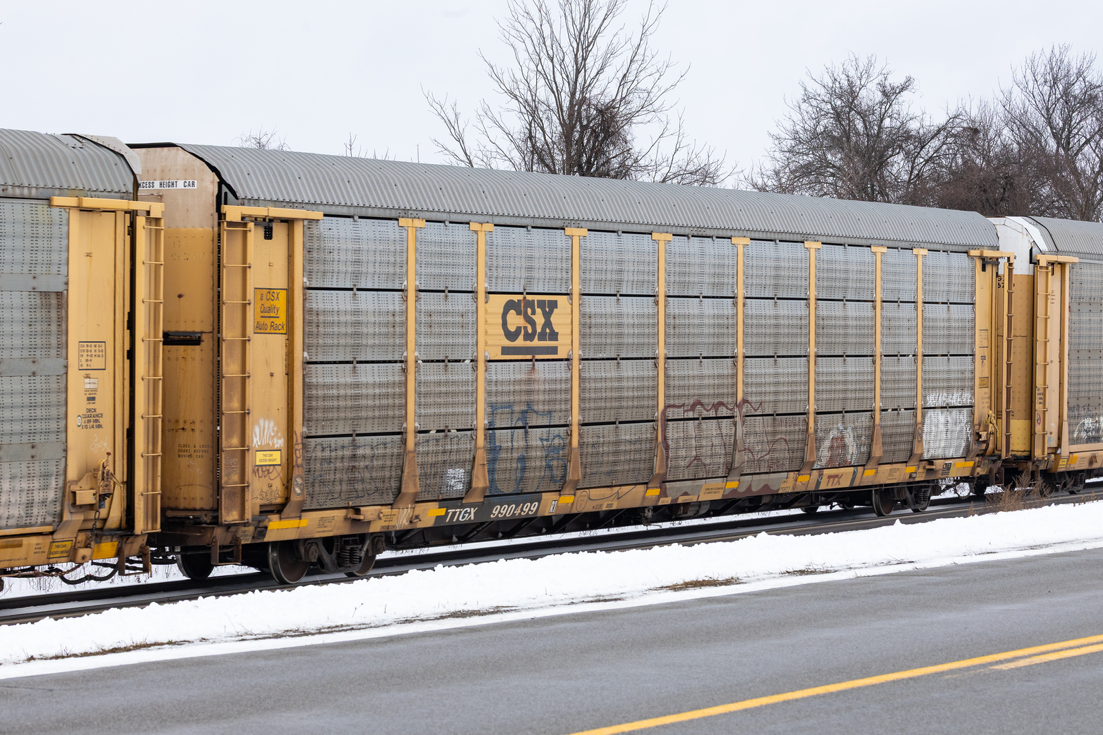 TTGX 990499