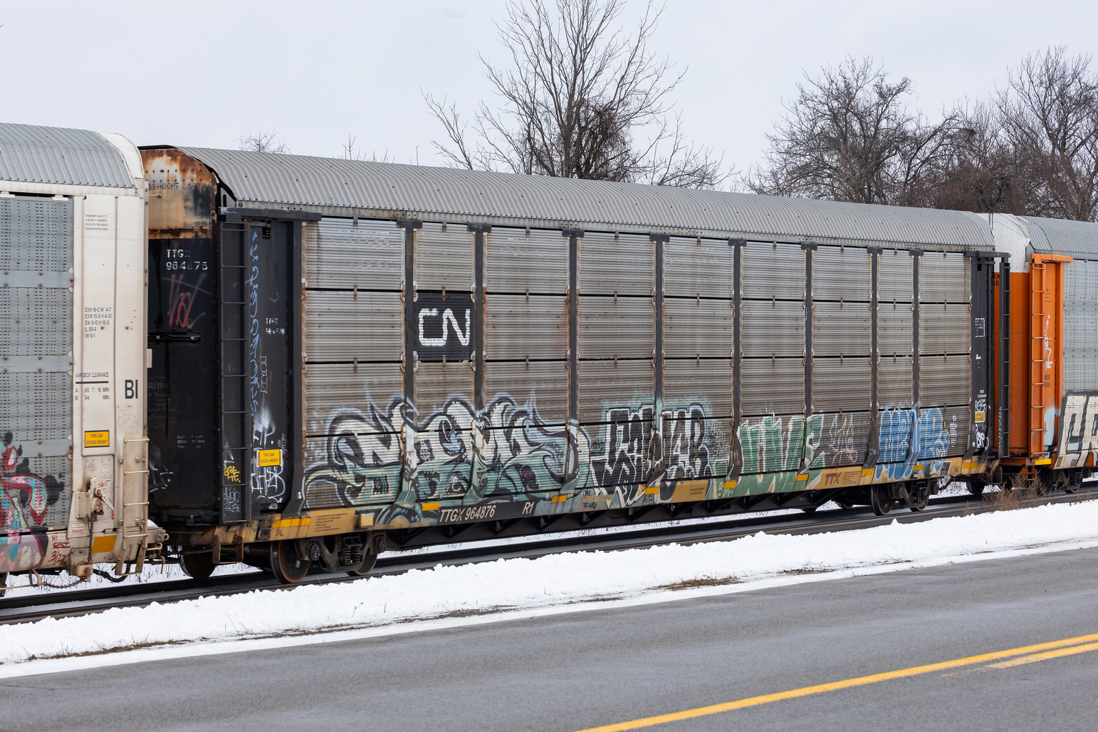 TTGX 964876