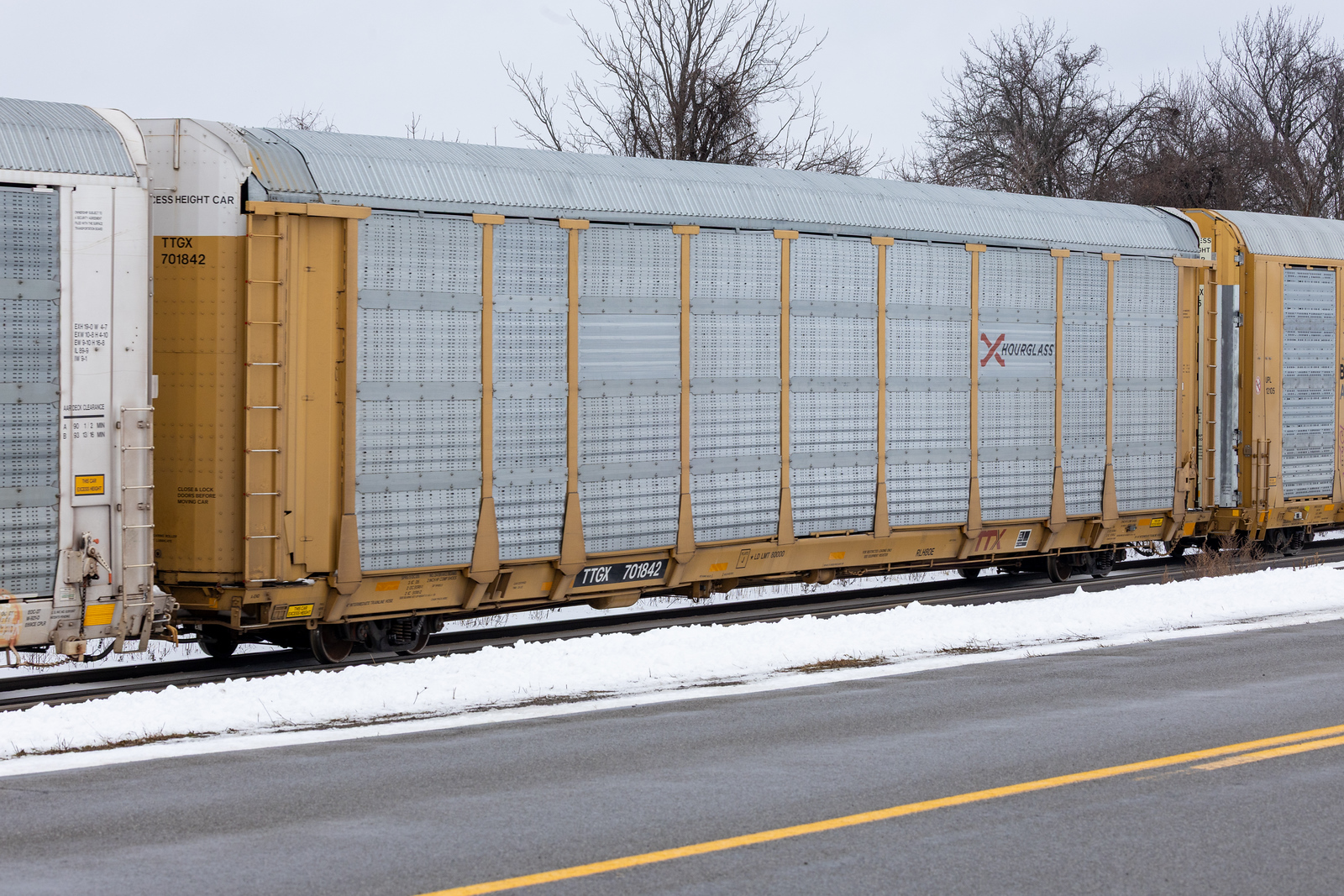 TTGX 701842