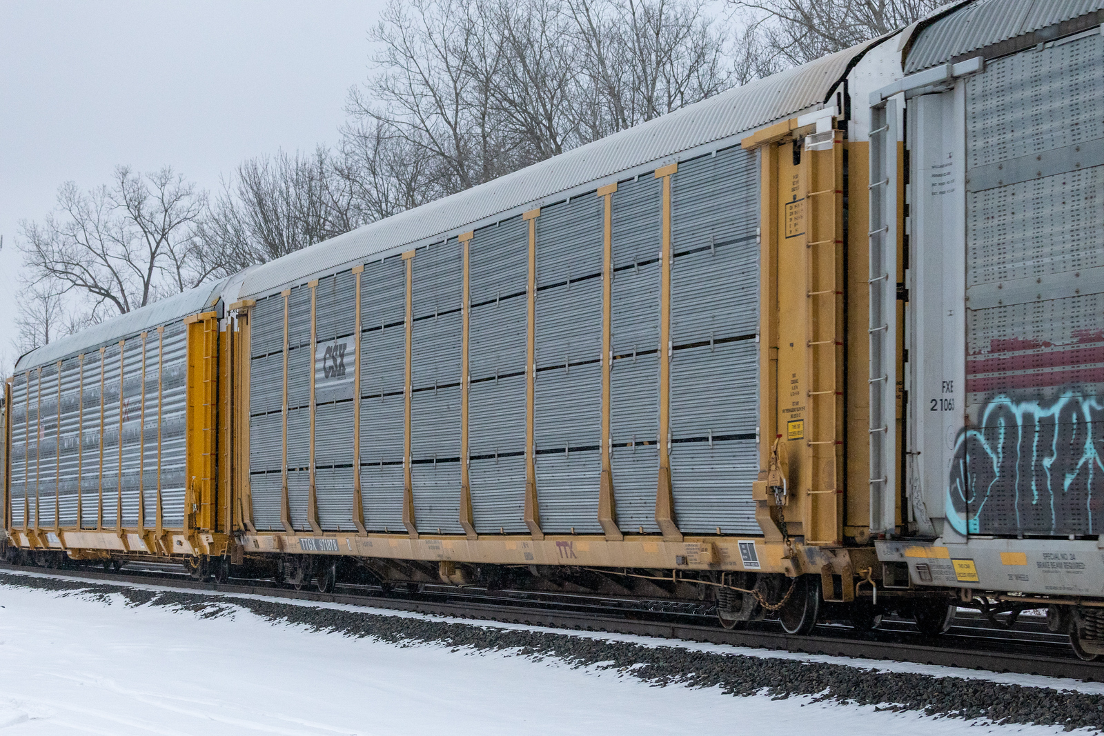 TTGX 971878