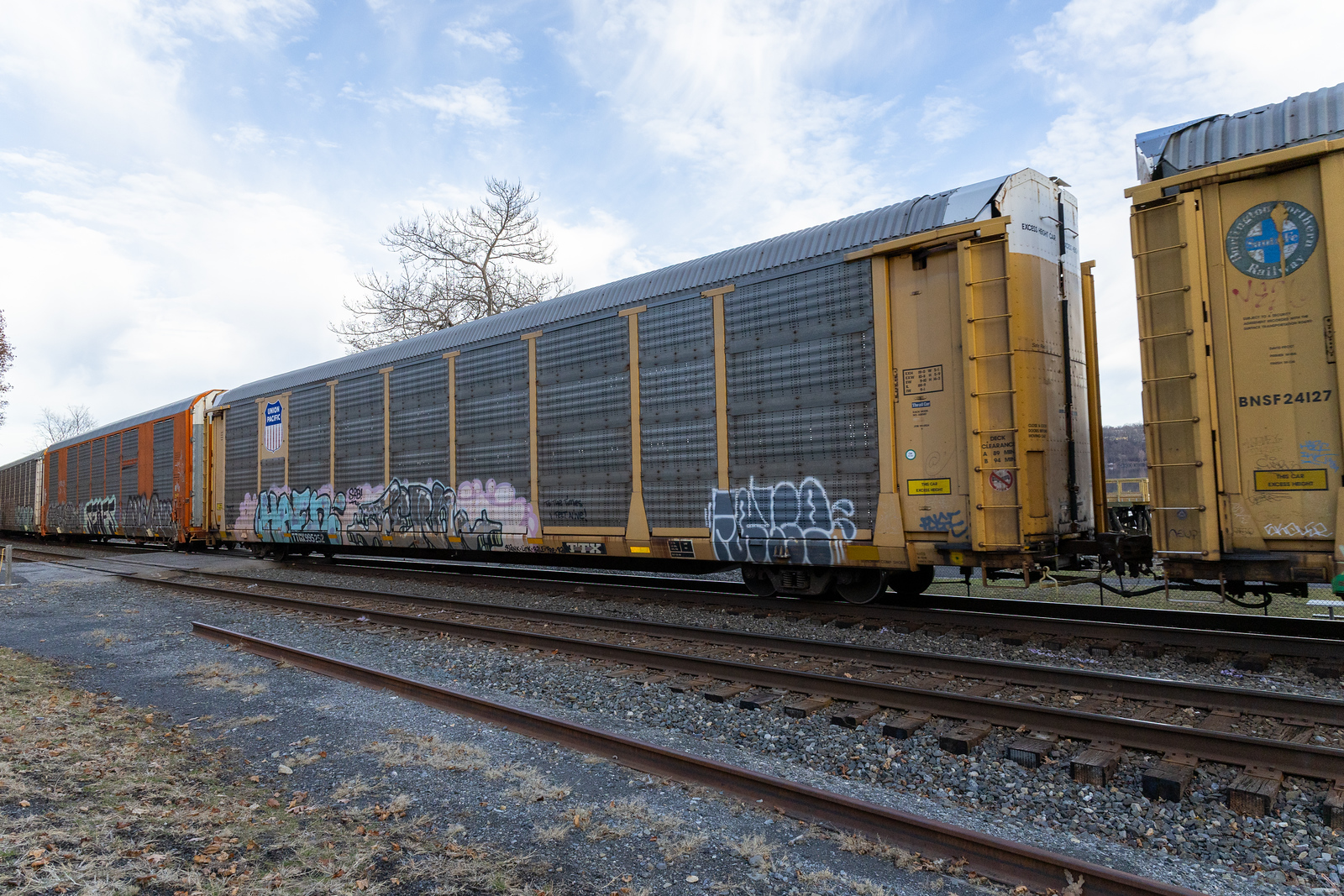 TTGX 995252