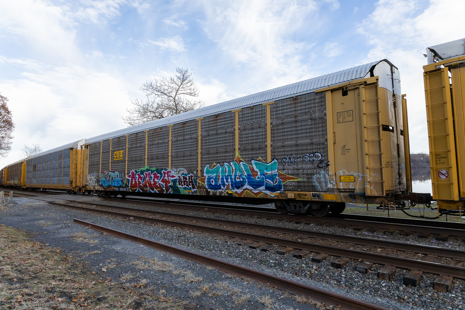TTGX 160242