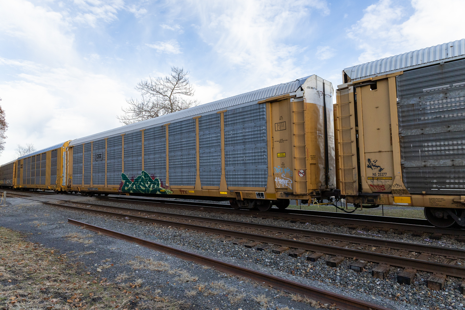 TTGX 985542