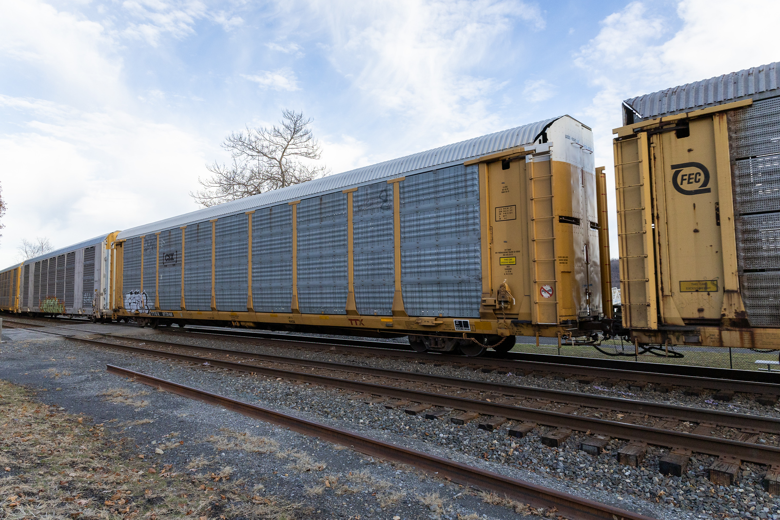 TTGX 973146