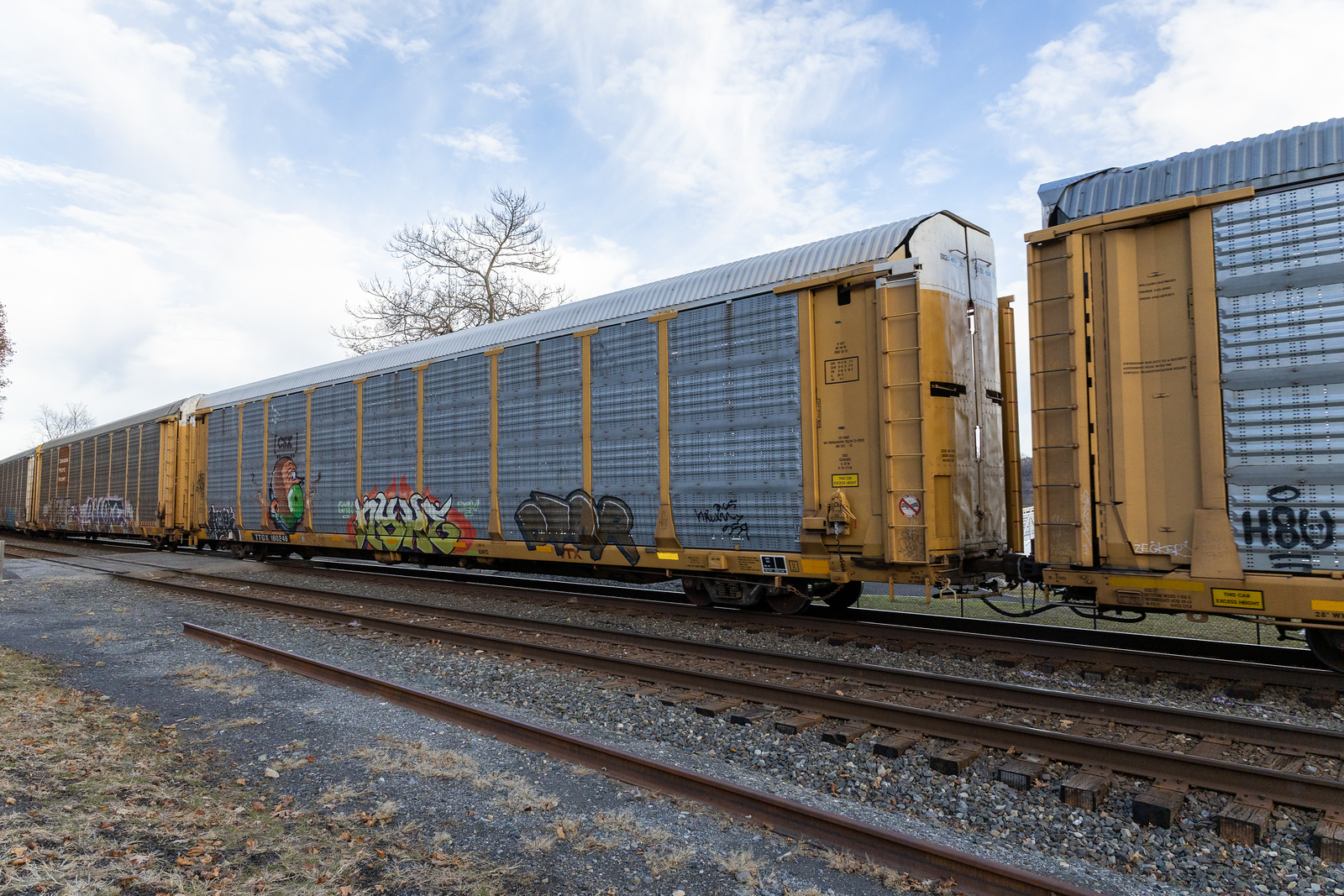 TTGX 160248