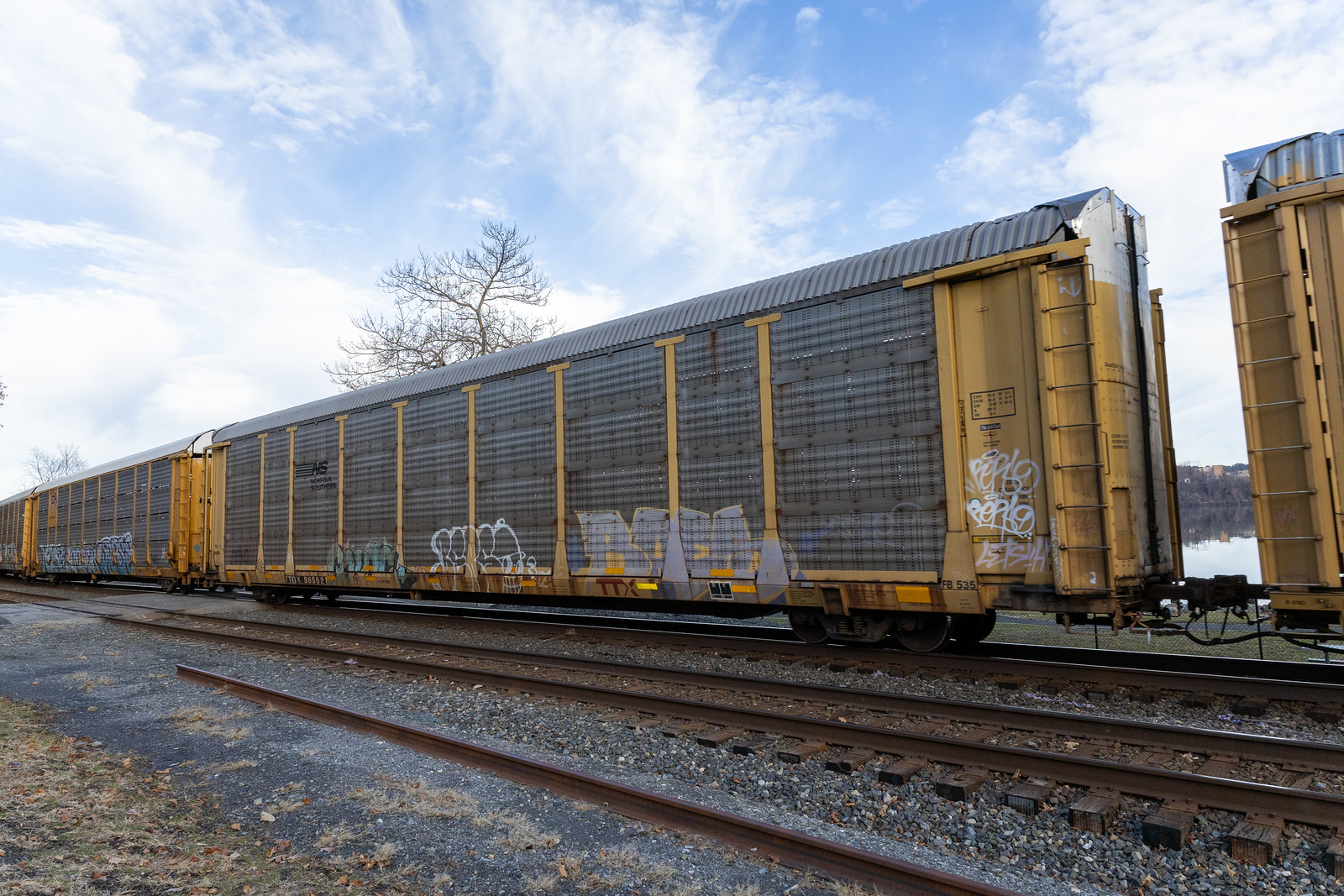 TTGX 985621