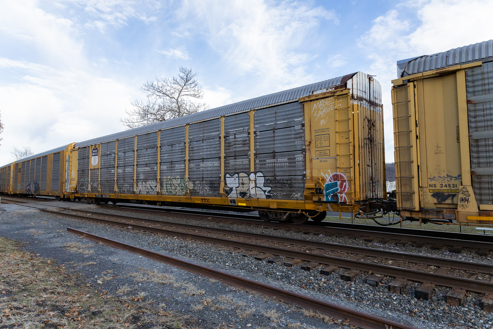 TTGX 961599