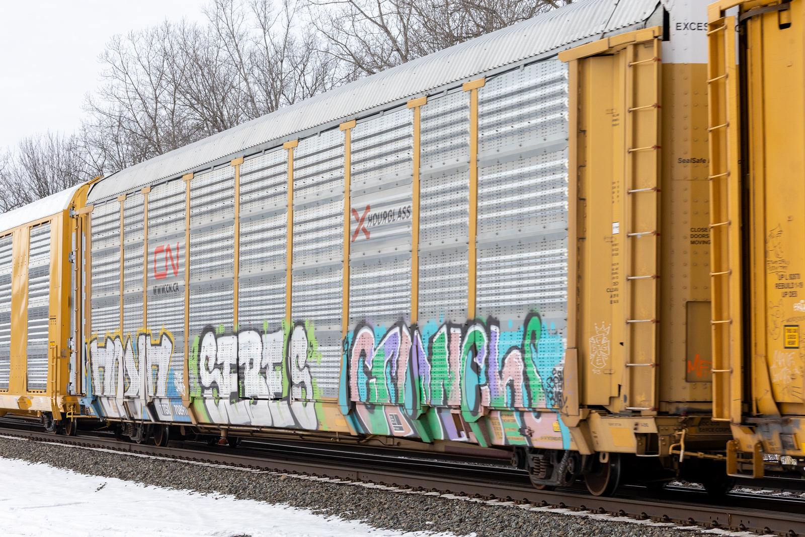 TTGX 708911