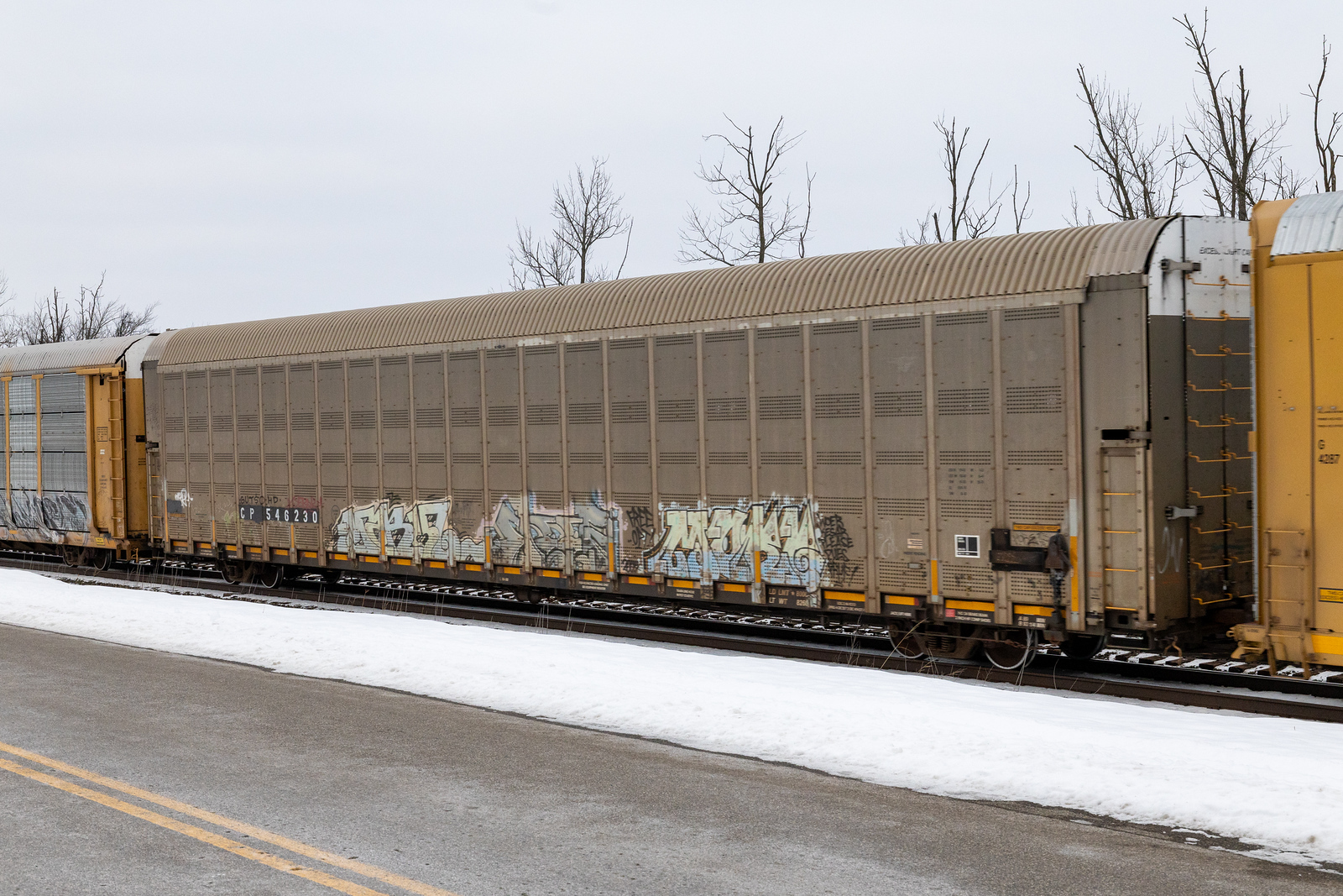 CP 546230