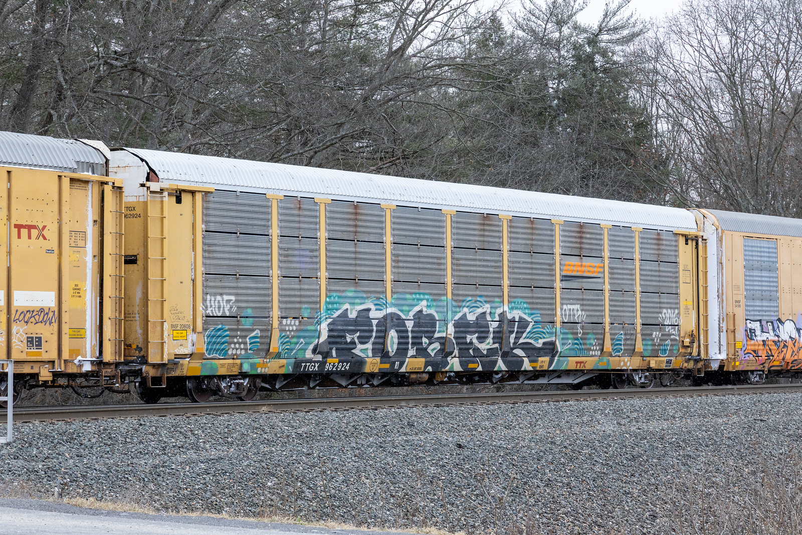 TTGX 962924