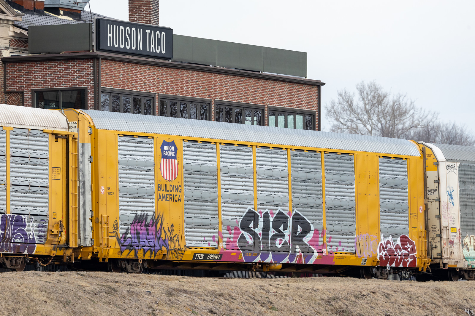 TTGX 698897