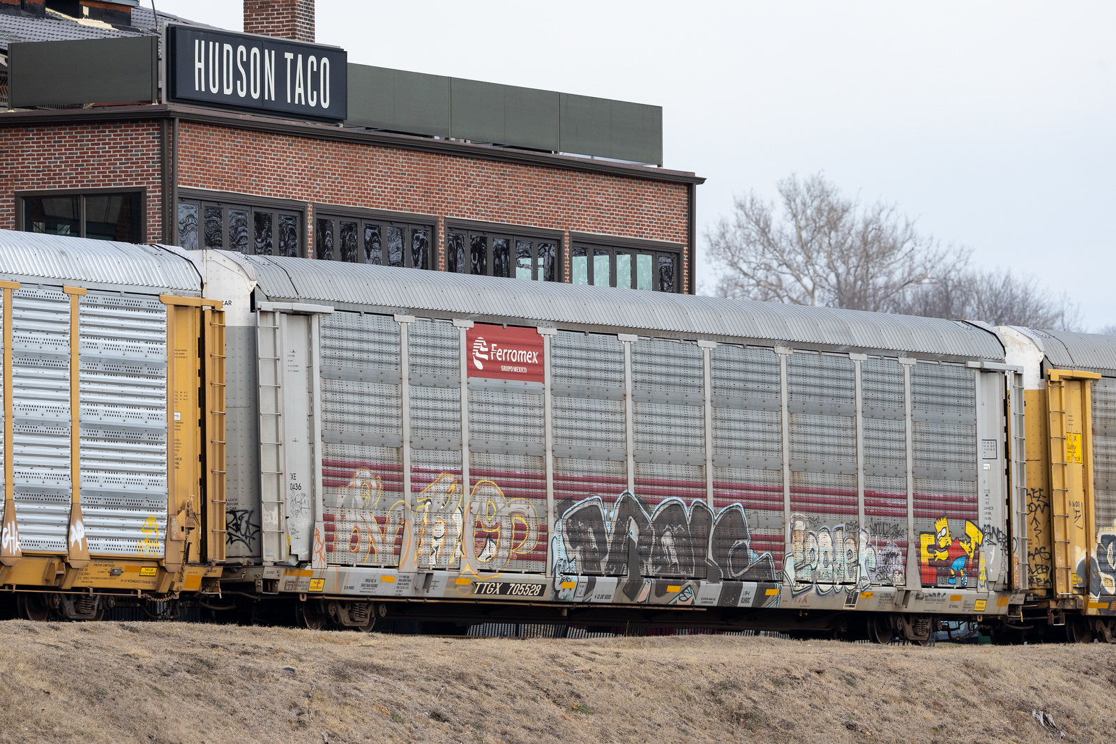 TTGX 705528
