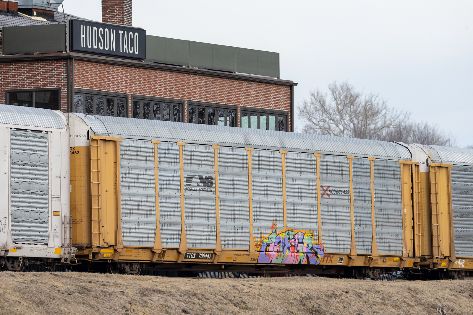 TTGX 708462
