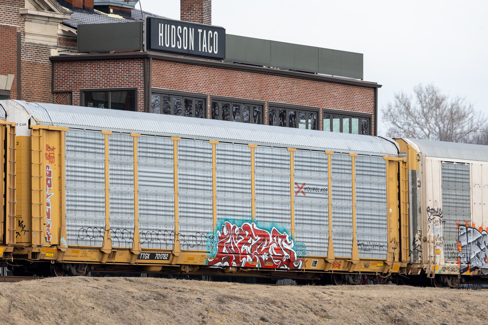 TTGX 701782