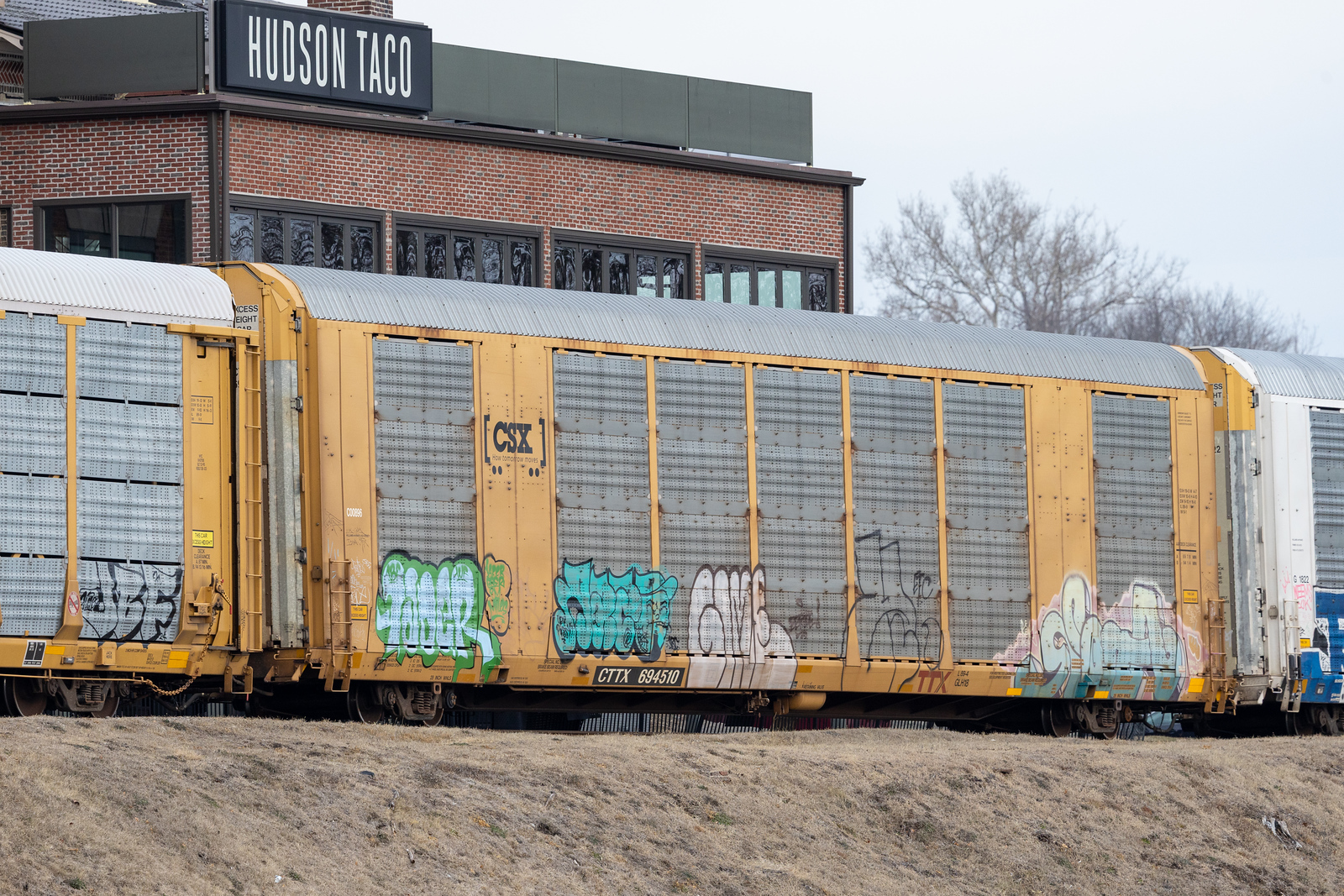 CTTX 694510