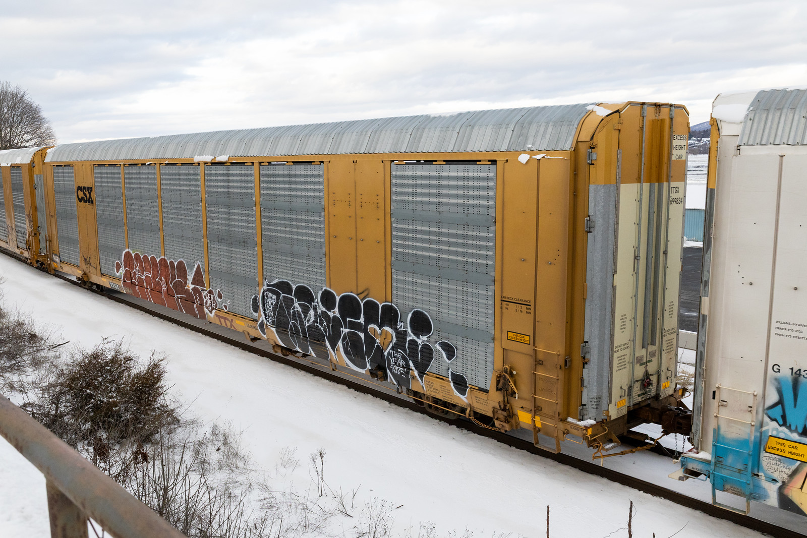 TTGX 699834