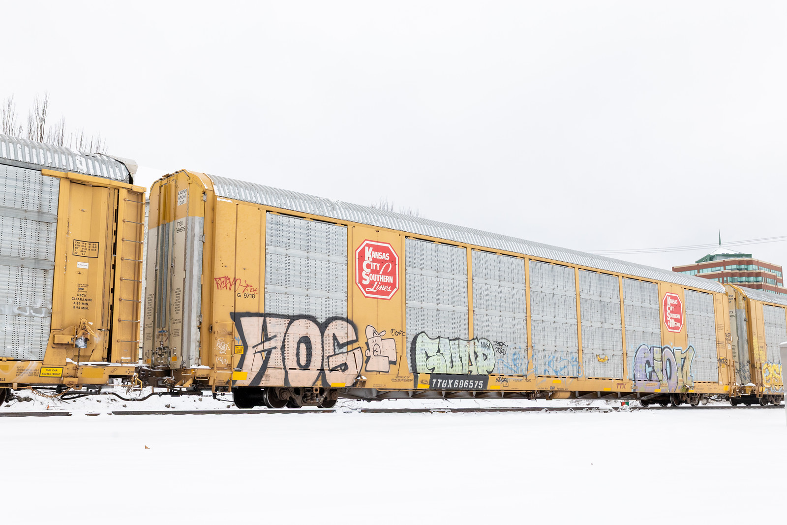 TTGX 696575