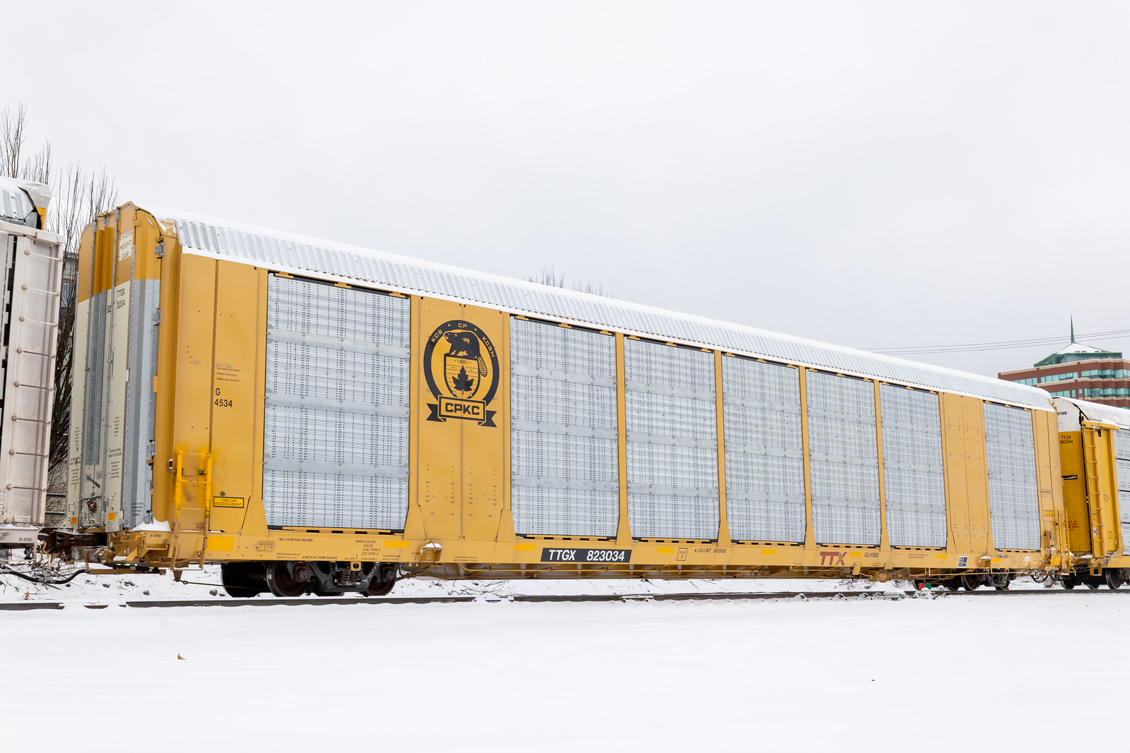 TTGX 823034