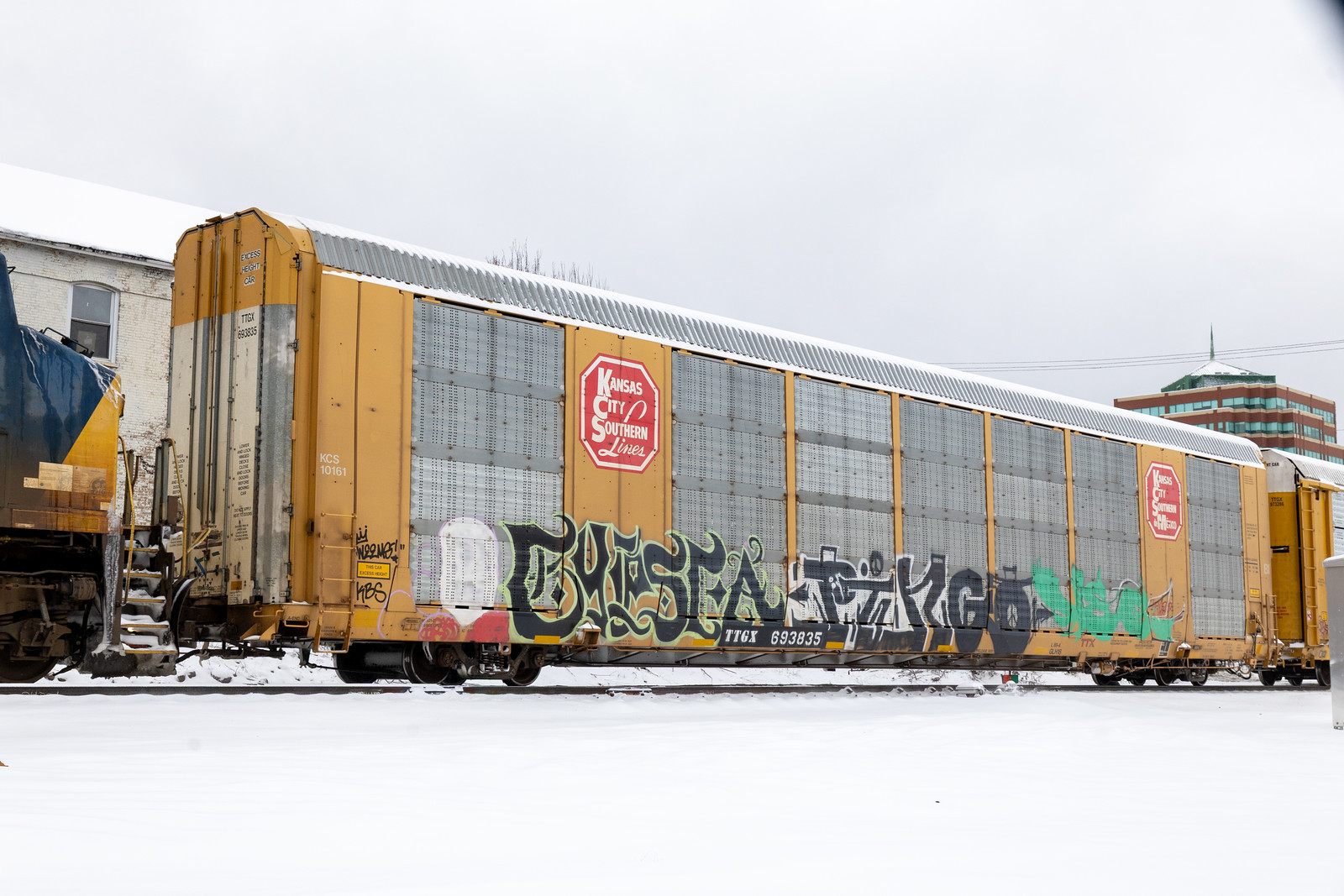 TTGX 693835