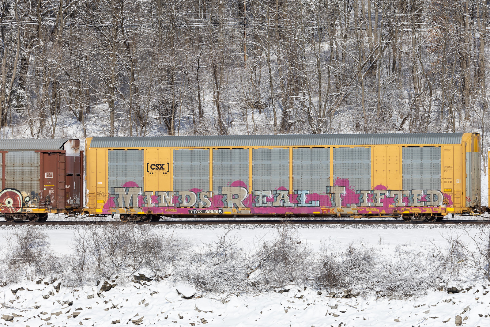 TTGX 695595
