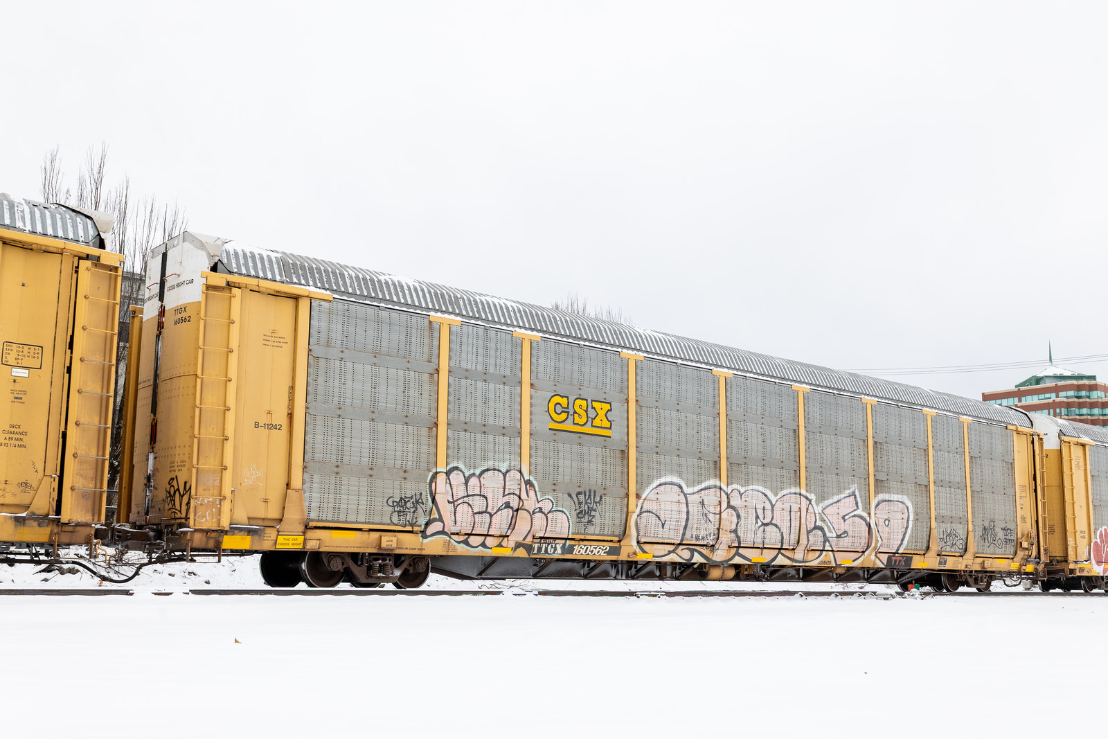 TTGX 160562