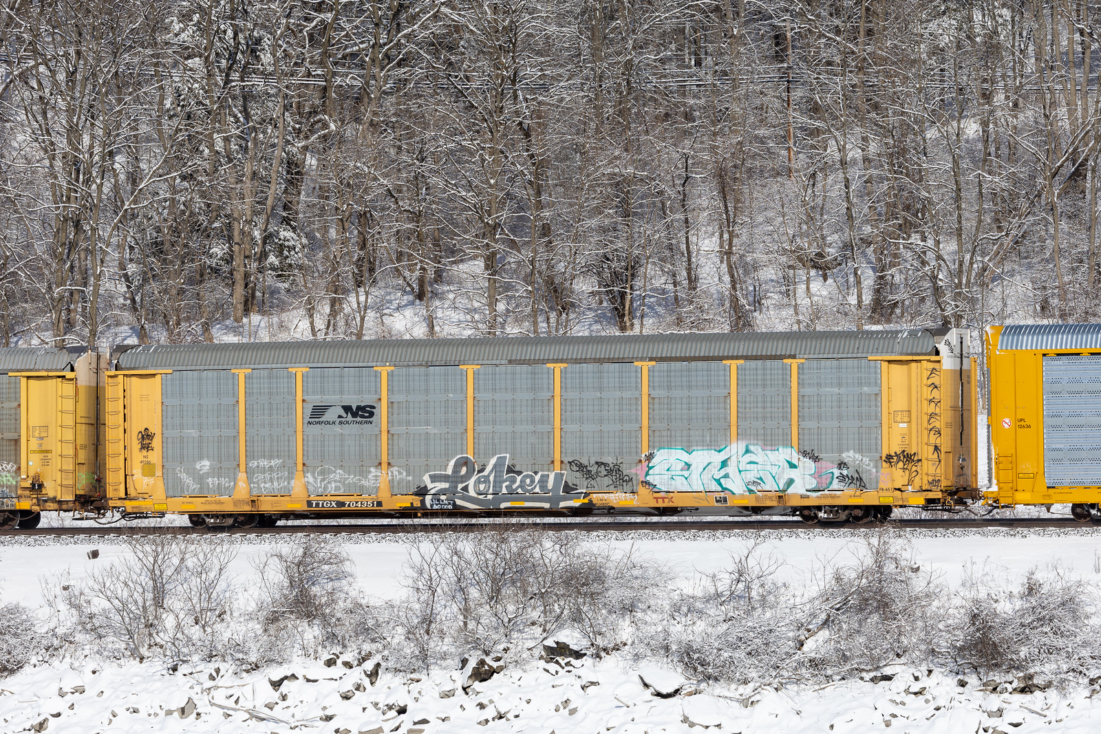 TTGX 704351