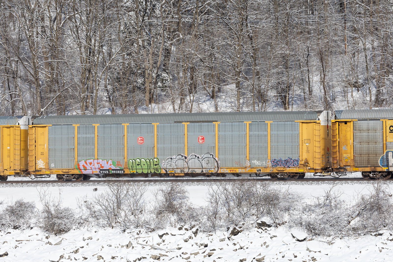 TTGX 991888