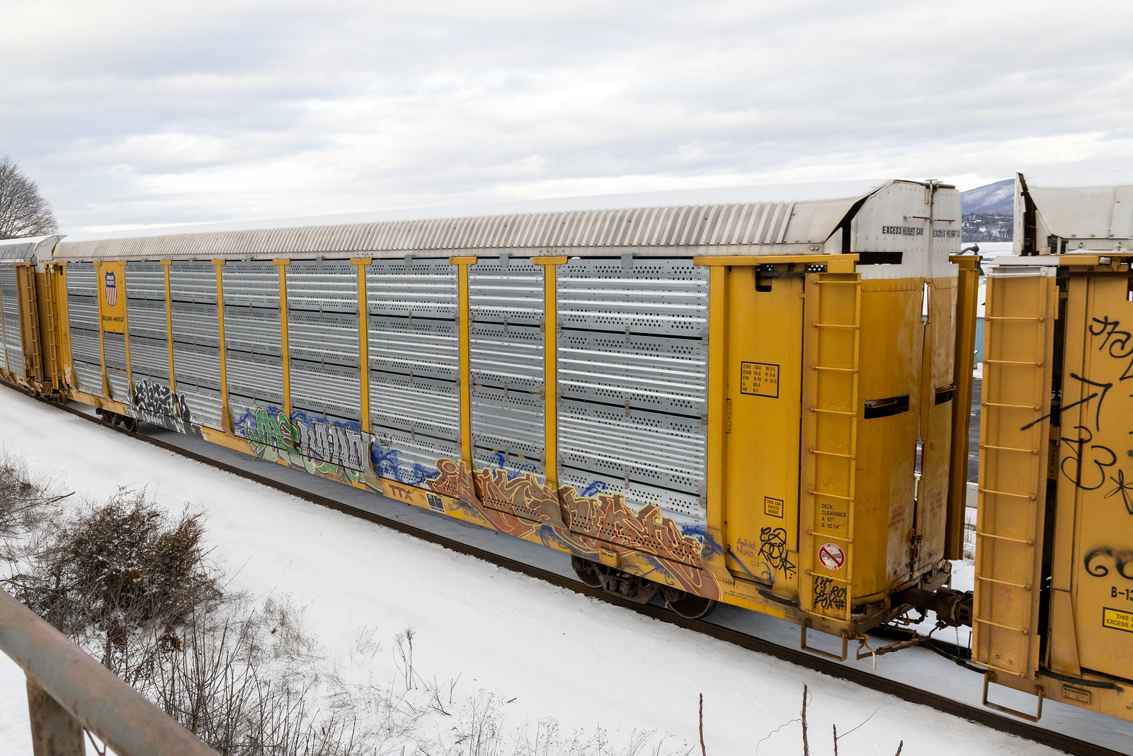 TTGX 160496