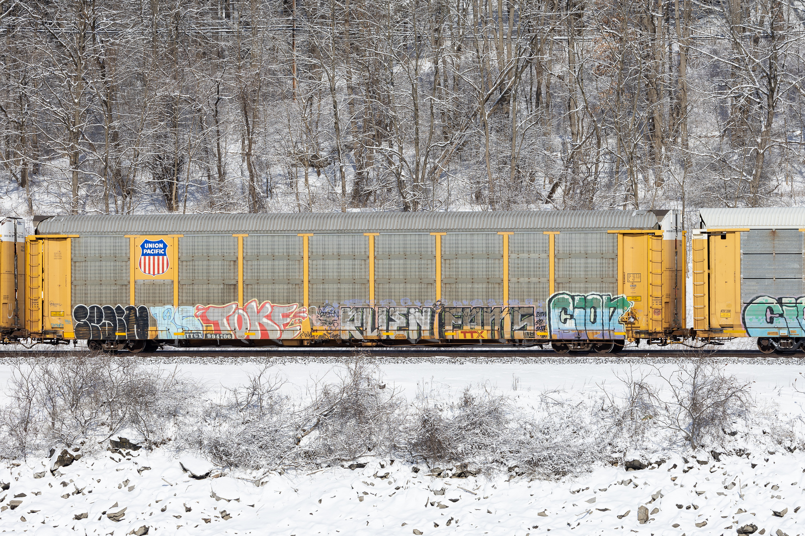 TTGX 994706