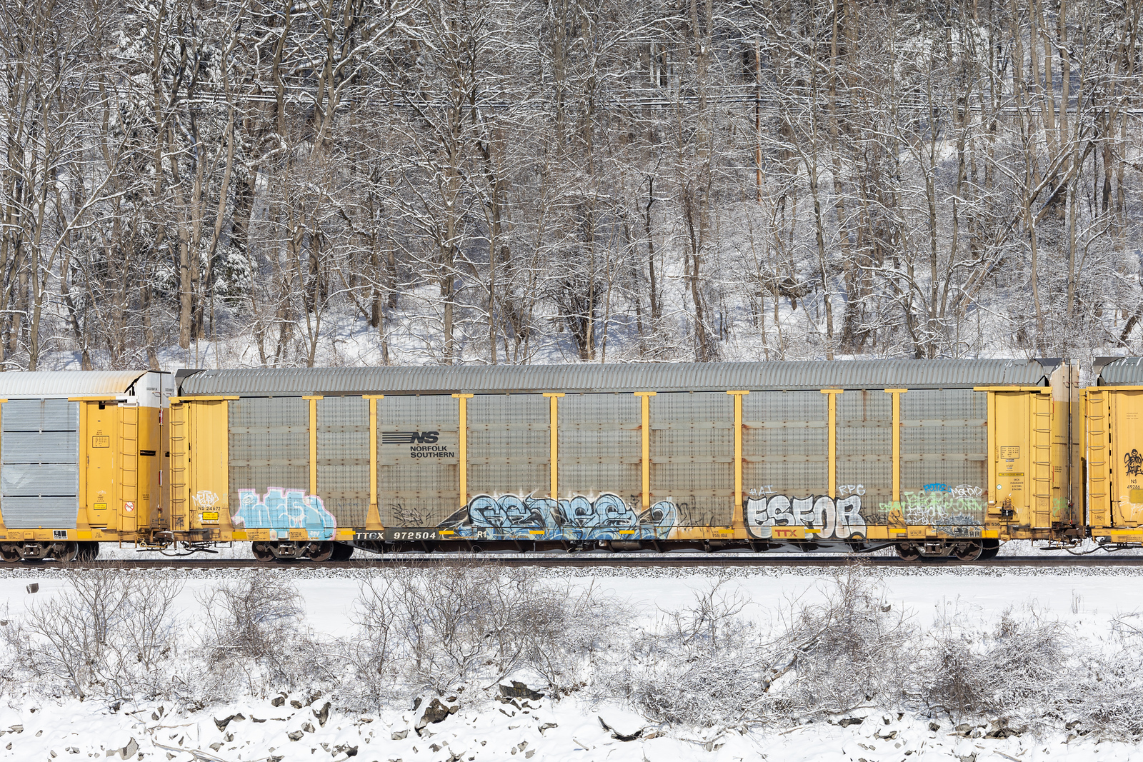 TTGX 972504
